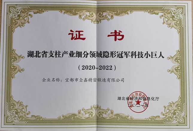 隱形冠軍小巨人