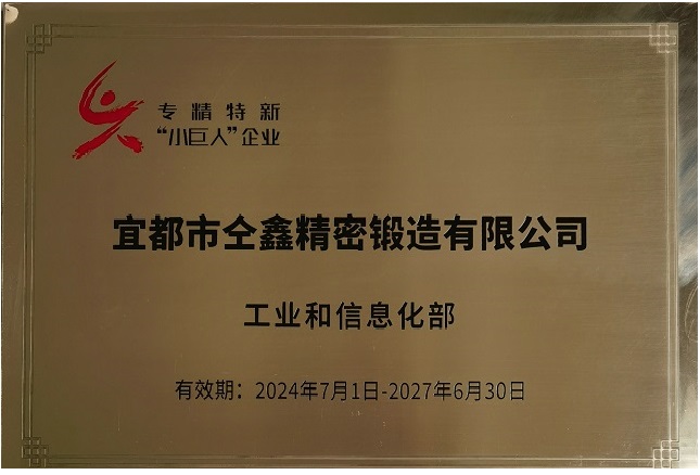 工信部專精特新小巨人企業(yè)